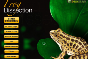 frog-dissection-feature
