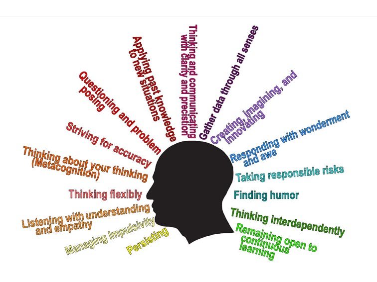 What Are The Habits Of Mind? What Are The Habits Of Mind?