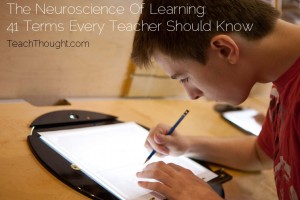 vancouverfilmschool-neuroscience