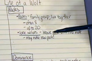 how-to-take-cornell-notes