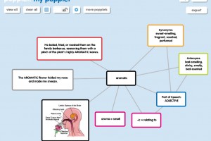 vocabulary-popplet