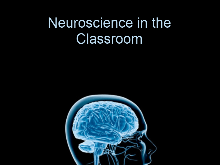 neuroscience in the classroom