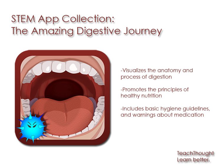 stem-app-collection-the-amazing-digestive-journey