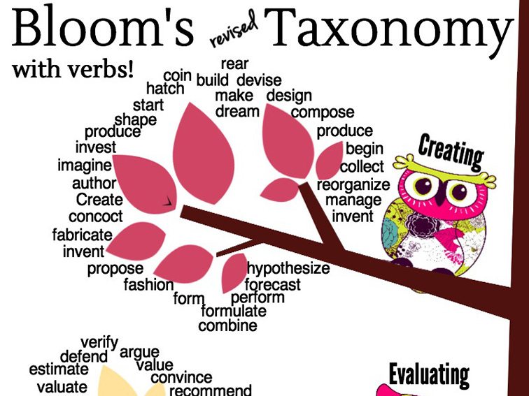 A Taxonomy Tree: A Bloom's Revised Taxonomy Graphic