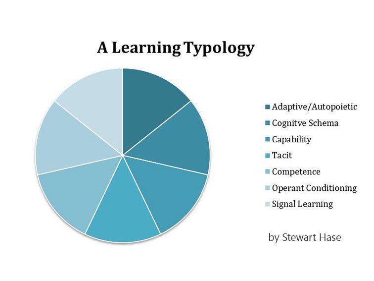 A Learning Typology: 7 Ways We Come To Understand