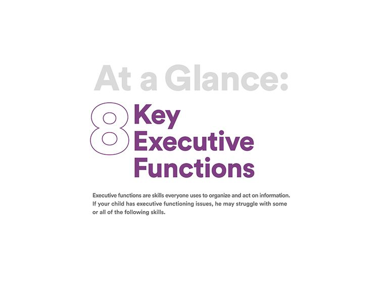 Executive Brain Functions