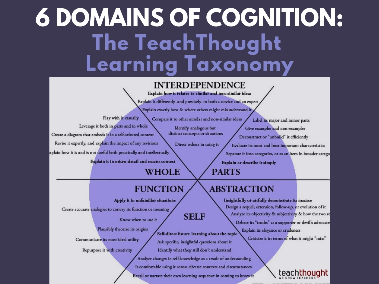 Таксономия wordpress. Taxonomy. Descriptive taxonomy. Taxonomy картинка. Self анализ.