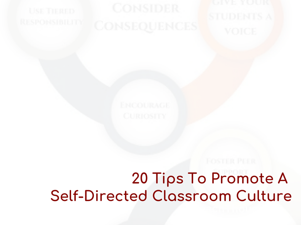 20 Tips To Promote A Self-Directed Classroom Culture