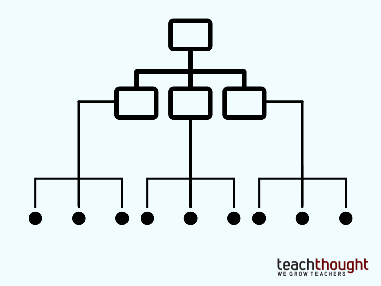 taxonomy graphic organizer